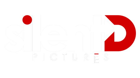 Silent D Pictures